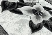 pyteka